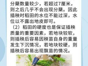 情侣的 100 种插秧方法：探索不同的亲密体验