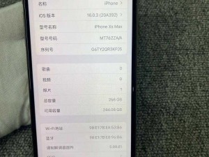 IPHONEXSMAX 欧美高级版已修复，功能完好无损