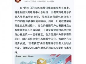 全民电竞荣耀盛典：王者荣耀打赏攻略指南