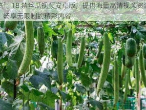 热门 18 禁丝瓜视频安卓版，提供海量高清视频资源，畅享无限制的精彩内容