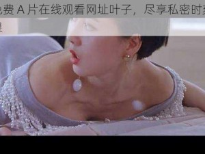 国产免费 A 片在线观看网址叶子，尽享私密时刻，激情无限