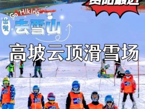 极寒挑战：冰川滑雪车狂飙无阻的独特跑法全记录