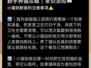 猫咪 310 安装指南：轻松上手的必备技巧