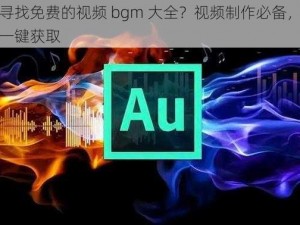 如何寻找免费的视频 bgm 大全？视频制作必备，海量资源一键获取