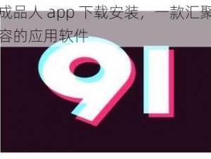 九幺成品人 app 下载安装，一款汇聚了丰富内容的应用软件