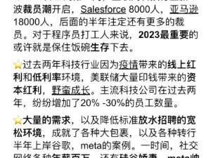 国产矿转码专一 2023 技术解析：让你的视频更流畅