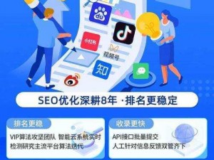 seo 短视频网页入口网站，专业的短视频营销推广平台