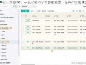 国产 crm 系统 91：一站式客户关系管理专家，提升企业销售效率