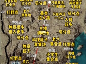 绝地求生刺激战场沙漠地图战术解析：精准卡点思路攻略