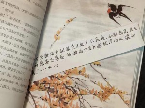 抖音情歌解析：我在情书里找到每生相遇的地方，探索爱情相遇曲奇美妙之处