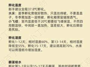 百分百成功孵蛋秘籍：全方位孵蛋攻略助你轻松孵化小生命