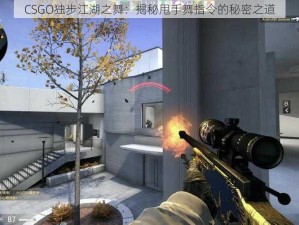 CSGO独步江湖之舞：揭秘甩手舞指令的秘密之道