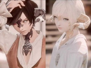 FF14鲁加族种族全面解析：特色能力与