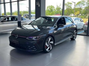 Fourteenth Edition 4s4s4s4s 色大众经典演绎 Golf GTI