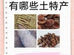 东北大坑原文全部阅读，感受东北特色文化，领略黑土地上的幽默与智慧