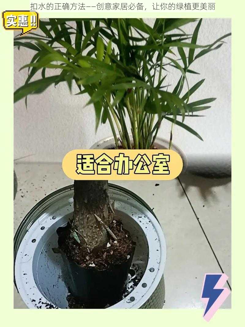 扣水的正确方法——创意家居必备，让你的绿植更美丽