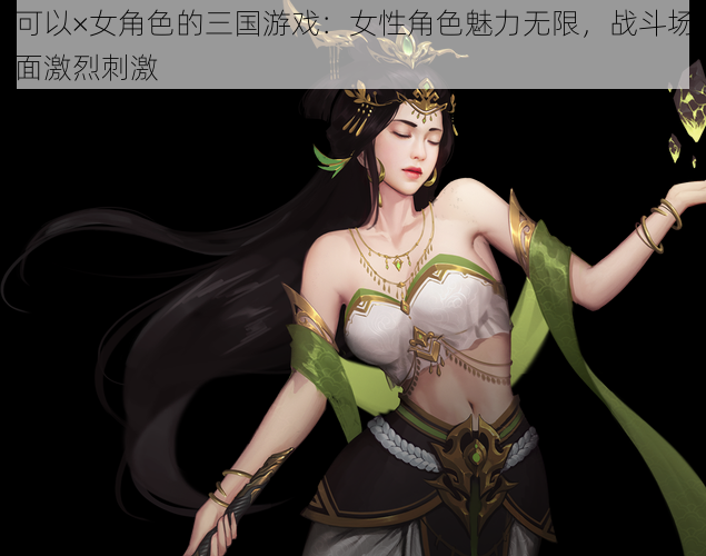 可以×女角色的三国游戏：女性角色魅力无限，战斗场面激烈刺激