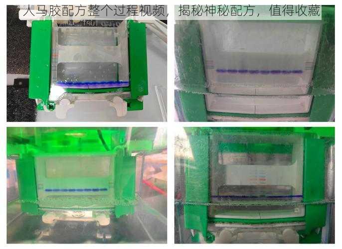 人马胶配方整个过程视频，揭秘神秘配方，值得收藏