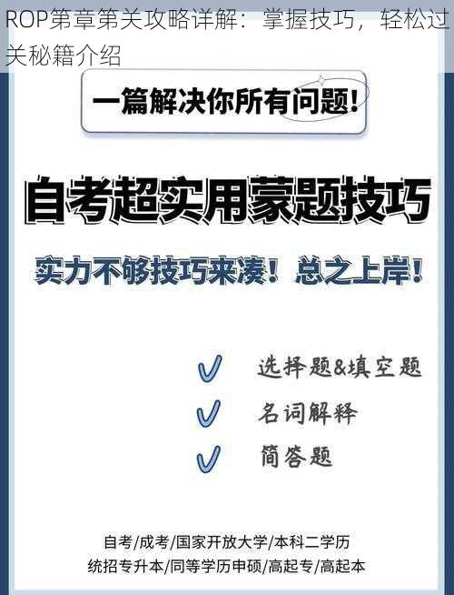 ROP第章第关攻略详解：掌握技巧，轻松过关秘籍介绍