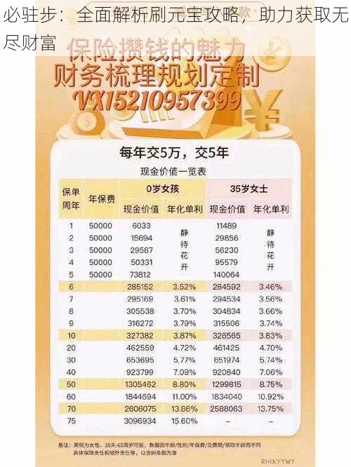 必驻步：全面解析刷元宝攻略，助力获取无尽财富