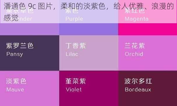 潘通色 9c 图片，柔和的淡紫色，给人优雅、浪漫的感觉