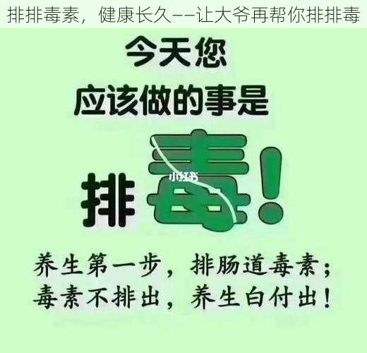 排排毒素，健康长久——让大爷再帮你排排毒