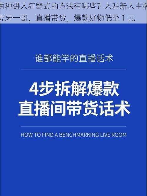 两种进入狂野式的方法有哪些？入驻新人主播虎牙一哥，直播带货，爆款好物低至 1 元