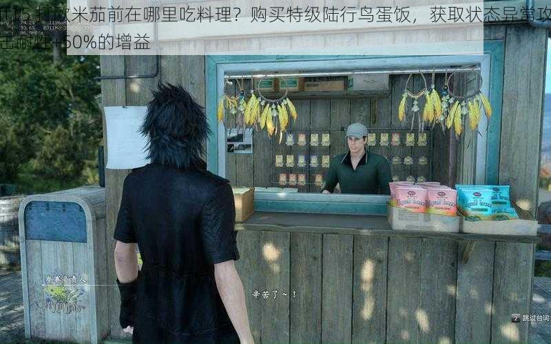 ff15 打欧米茄前在哪里吃料理？购买特级陆行鸟蛋饭，获取状态异常攻击耐性+50%的增益