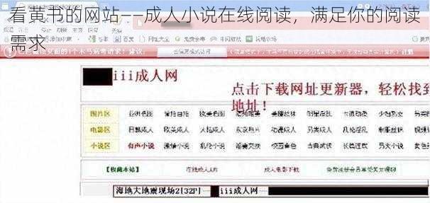 看黄书的网站——成人小说在线阅读，满足你的阅读需求