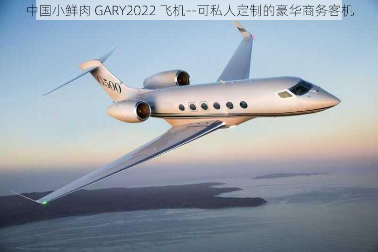 中国小鲜肉 GARY2022 飞机--可私人定制的豪华商务客机