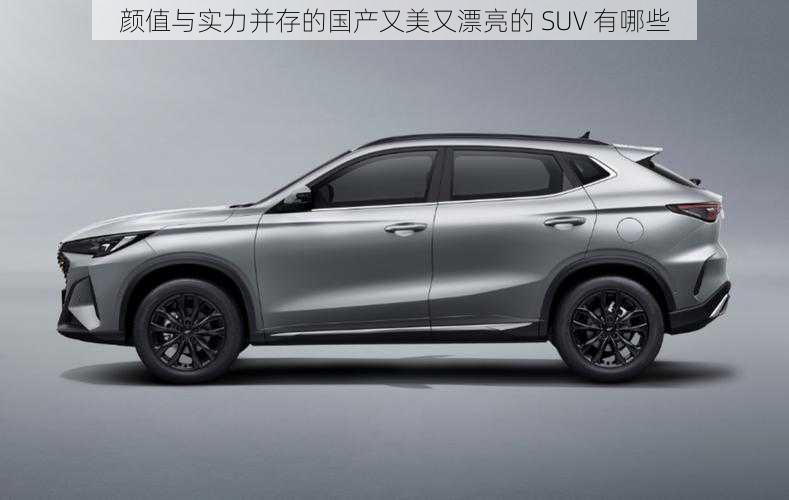 颜值与实力并存的国产又美又漂亮的 SUV 有哪些