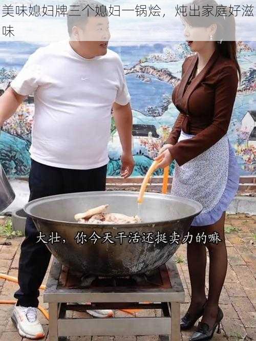 美味媳妇牌三个媳妇一锅烩，炖出家庭好滋味