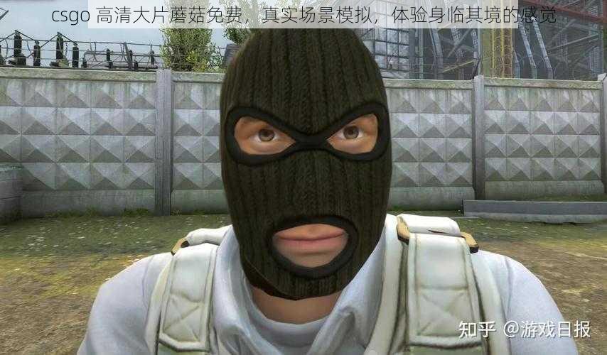 csgo 高清大片蘑菇免费，真实场景模拟，体验身临其境的感觉