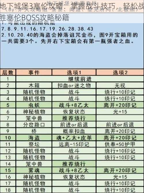 地下城堡3塞伦攻略：掌握战斗技巧，轻松战胜塞伦BOSS攻略秘籍