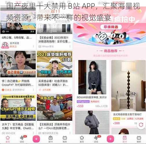 国产夜里十大禁用 B站 APP，汇聚海量视频资源，带来不一样的视觉盛宴