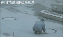 动作 gif 后人试动态图展示了一个有趣的实验过程