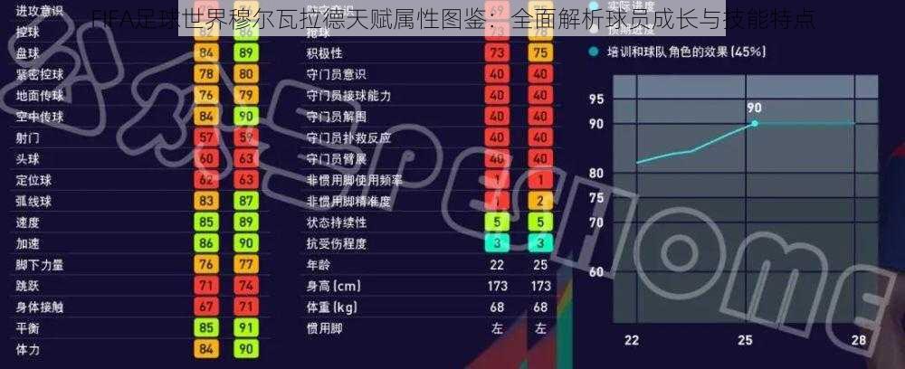 FIFA足球世界穆尔瓦拉德天赋属性图鉴：全面解析球员成长与技能特点