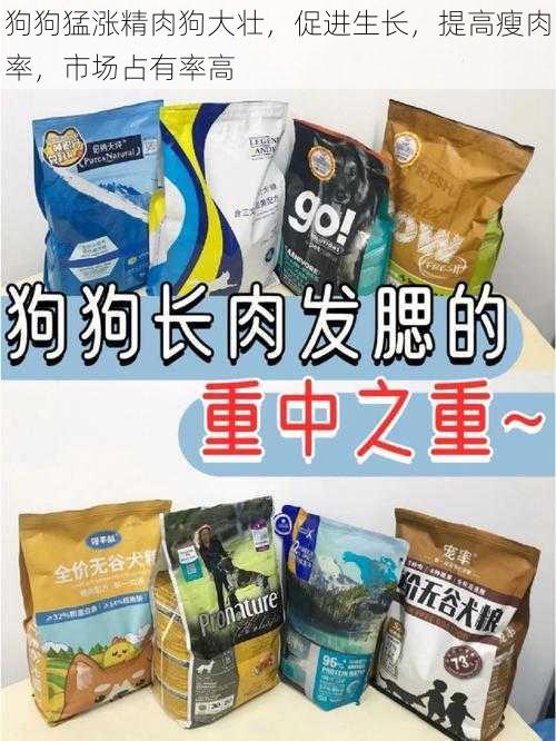 狗狗猛涨精肉狗大壮，促进生长，提高瘦肉率，市场占有率高