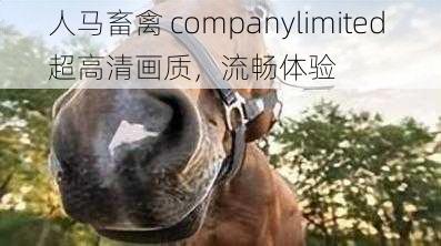 人马畜禽 companylimited 超高清画质，流畅体验