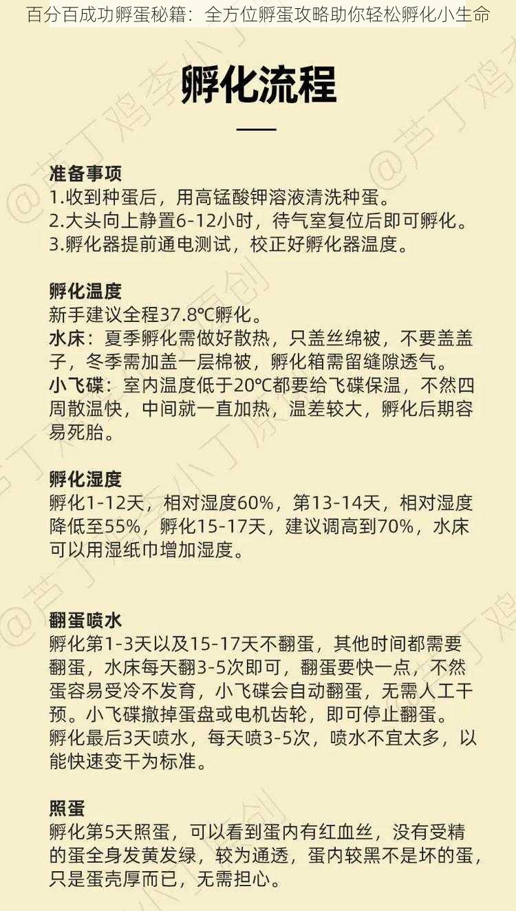 百分百成功孵蛋秘籍：全方位孵蛋攻略助你轻松孵化小生命