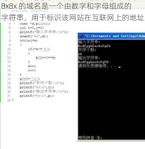 8x8x 的域名是一个由数字和字母组成的字符串，用于标识该网站在互联网上的地址