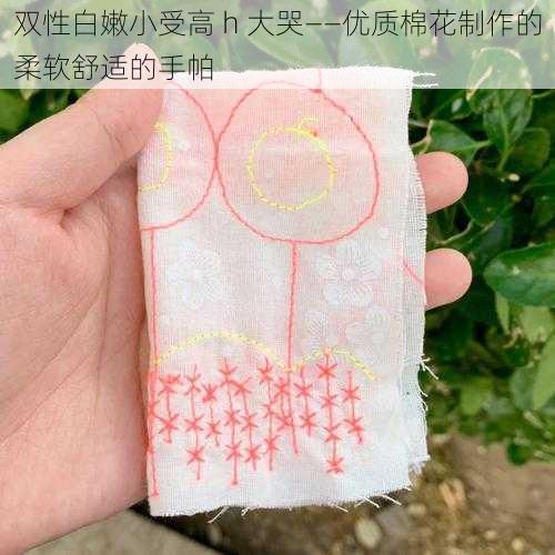 双性白嫩小受高 h 大哭——优质棉花制作的柔软舒适的手帕