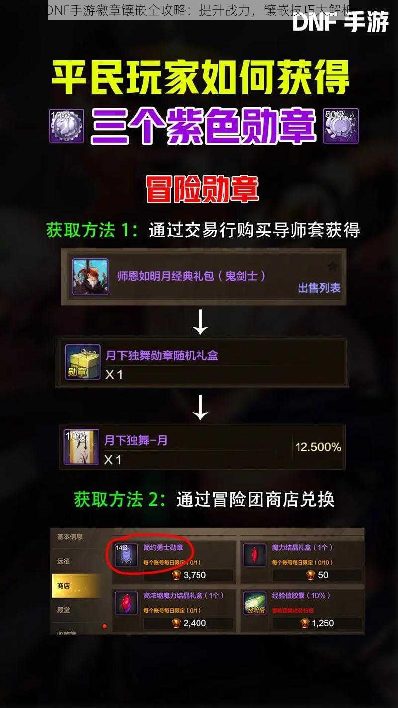 DNF手游徽章镶嵌全攻略：提升战力，镶嵌技巧大解析