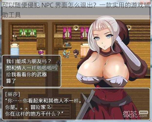 可以随便侵犯 NPC 界面怎么退出？一款实用的游戏辅助工具