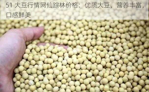 51 大豆行情网仙踪林价格：优质大豆，营养丰富，口感鲜美