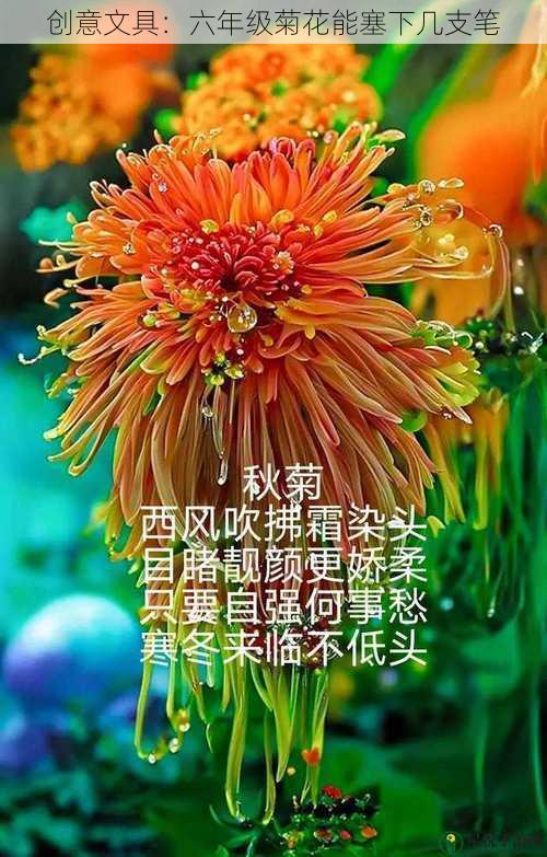 创意文具：六年级菊花能塞下几支笔