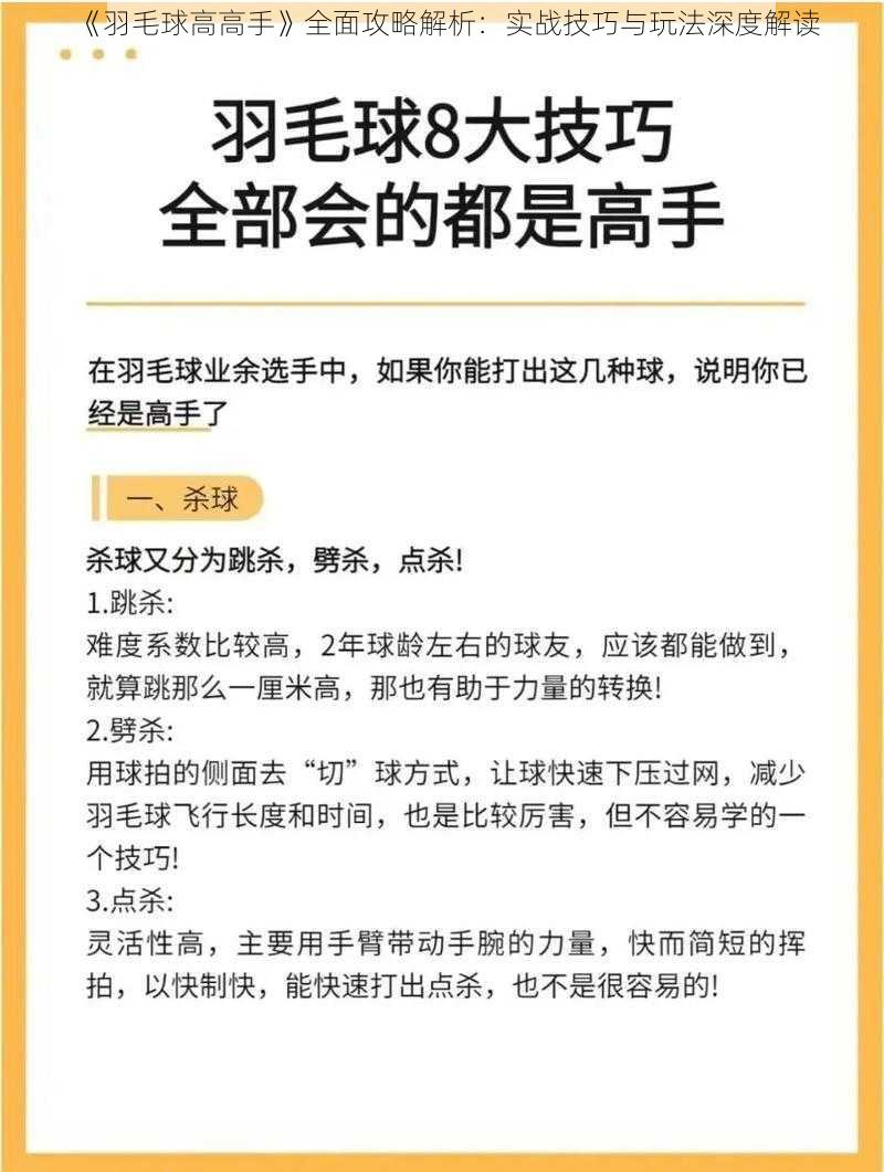 《羽毛球高高手》全面攻略解析：实战技巧与玩法深度解读