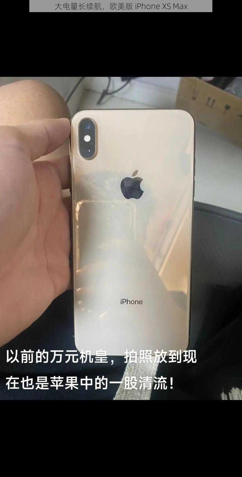 大电量长续航，欧美版 iPhone XS Max