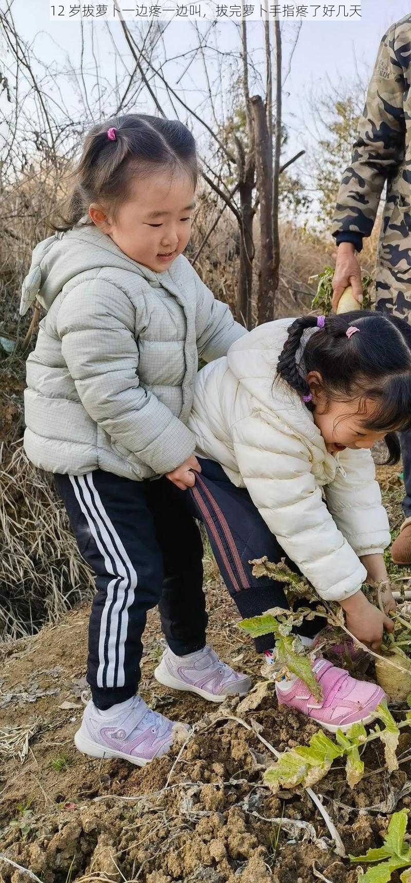 12 岁拔萝卜一边疼一边叫，拔完萝卜手指疼了好几天