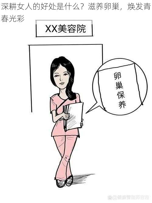 深耕女人的好处是什么？滋养卵巢，焕发青春光彩